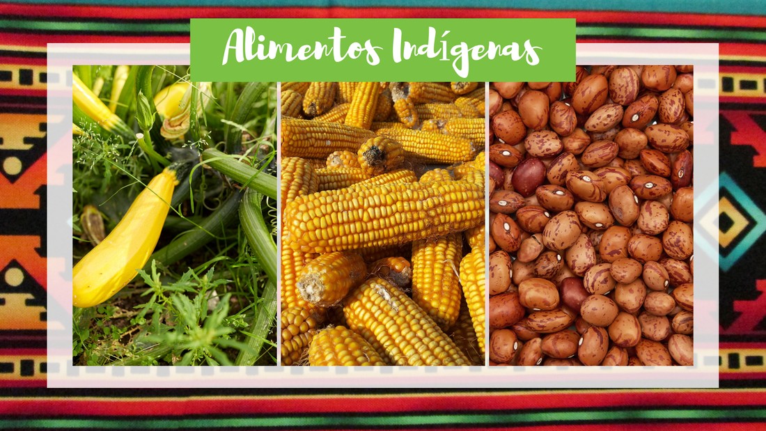 Gastronomía indígena y sostenibilidad alimentaria en El Salvador-1