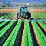 Impacto de la agricultura moderna en cultivos ancestrales: cambios y consecuencias