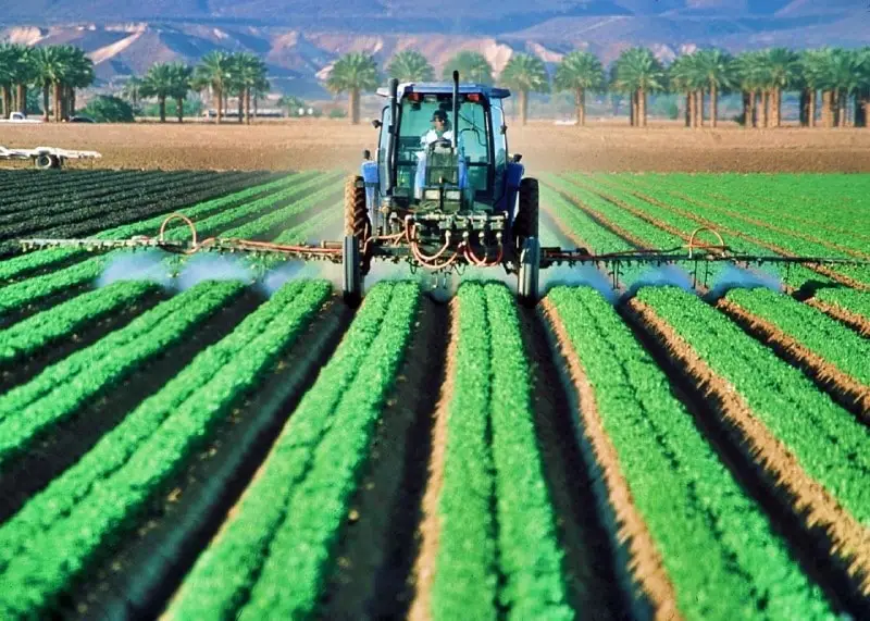 Impacto de la agricultura moderna en cultivos ancestrales: cambios y consecuencias-1