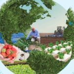 La agroecología: un enfoque para una alimentación sostenible
