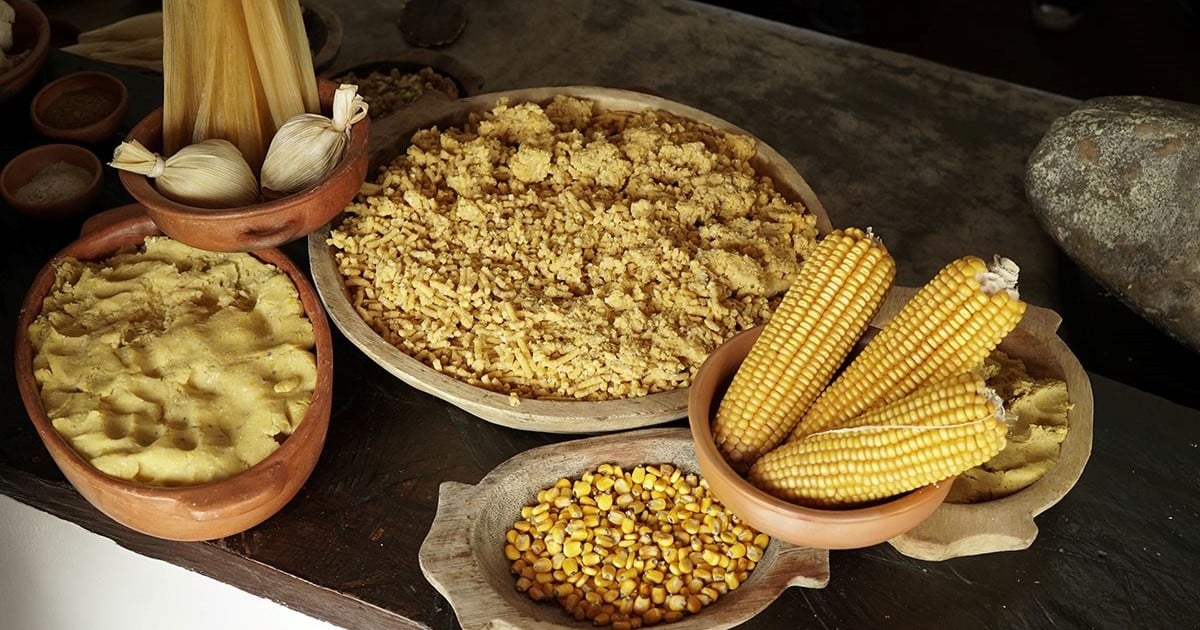 Transmisión de recetas ancestrales: un legado generacional-1