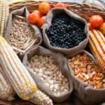 Alimentación ancestral de pueblos indígenas: conoce sus alimentos